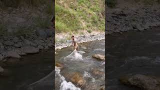 Catching snow trout from the fresh water streams is always amazing fishingshorts [upl. by Yt]