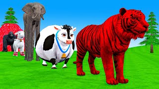 Paint amp Animals CowTigerdinosaurLionElephant Fountain Crossing Transformation Animal Cartoon [upl. by Ehrenberg]