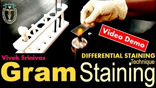 GRAM STAINING  Bacterial Staining Technique  Microbiology  Vivek Srinivas  Bacteriology [upl. by Chaddie]