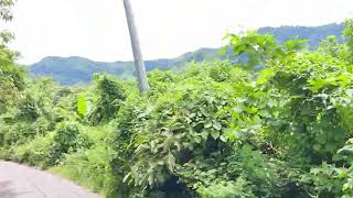 Thrilling Adventure from Bandarban to Nafakum Thanchi Sangu River [upl. by Inavoy714]