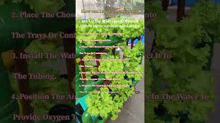 How can I start a hydroponic farm Set Up the Hydroponic System hydroponics [upl. by Michelle]