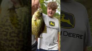 Bluegill swimbait catches a crappie fishing shorts [upl. by Sualkcin206]