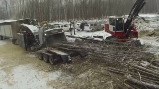 Bandit 3590XL 1200 HP Whole Tree Chipper Nelson Forest Products Testimonial [upl. by Reidid]