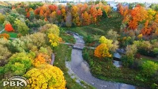 🍁TORONTO FALL Autumn Colors Ontario Canada Maple Trees Colors [upl. by Carny238]