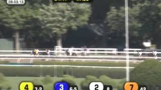 2013 Whitney Invitational Handicap [upl. by Melodee]