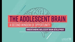 The Adolescent Brain A second window of opportunity [upl. by Schaffel]