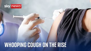 Five babies have died with whooping cough this year UK health officials say [upl. by Adnorrehs]