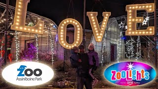 AssiniboinePark Zoo Lights  2023  Winnipeg MB [upl. by Aerbas]