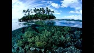 The Future Sound Of London  Papua New Guinea High Contrast Mix [upl. by Atsirtal]