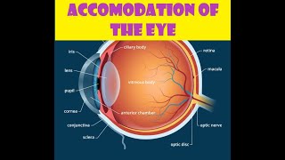 Accommodation of the Eye [upl. by Suedaht]