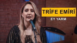 Trîfe Emîrî  Ey Yarm Kurdmax Acoustic [upl. by Fortunia]