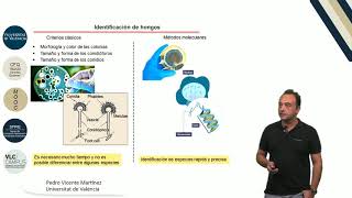 63 Micotoxinas en alimentos [upl. by Normi]