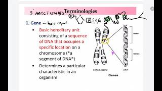 41 a Genetic Inheritance Terminologies in genetic inheritance [upl. by Nibur]