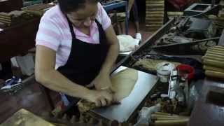 Cigar rolling in Estelí Nicaragua [upl. by Paget]