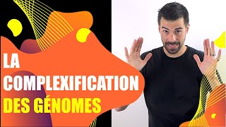 COURS DE TERMINALE SPÉCIALITÉ SVT  CHAP3 LA COMPLEXIFICATION DES GÉNOMES Bio Logique [upl. by Emyaj]