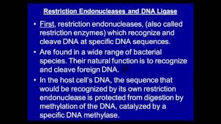 Molecular lab  Recombinant DNA [upl. by Ivie]