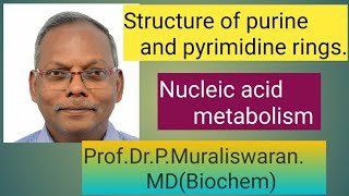 Structure of purine and Pyrimidine rings Muralis Simplified Biochemistry [upl. by Wesa]