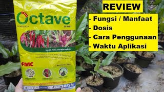 Review Fungisida Octave 50 WP  Fungsi  Manfaat Dosis Cara Penggunaan Fungisida Octave Fusarium [upl. by Rustin]