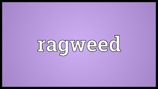 Ragweed Meaning [upl. by Iorgos]