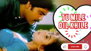 Tu Mile Dil Khile  Kumar Sanu Alka Yagnik  Criminal  Nagarjuna Akkin Manisha Koirala  Saregama [upl. by Edythe]