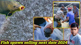 Machhali ka spawn kaha milega in west bengal  fish spawn delivery date 2024  available to sell [upl. by Alyahsat89]