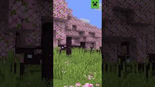 Minecraft BIOMA de CEREZO OFICIAL todo lo que debes saber minecraft tiktok bedrock shorts [upl. by Yud501]