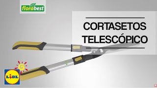 Cortasetos Telescópico  Lidl España [upl. by Nna]