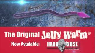 Paul Elias and the World Famous Jelly Worm [upl. by Imarej]