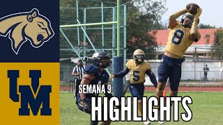 Pumas FESA vs No 4 Pumas UNAM Highlights  Semana 9  Liga Mayor ONEFA 2024 [upl. by Idnir]