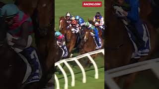 Watch This Jockeys MidRace Move For The Ages [upl. by Foah]