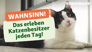 7 typische Situationen die nur Katzenbesitzer kennen [upl. by Faires285]