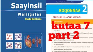 Saayinsii waliigalaa kutaa 7ffaa boqonnaa 2 part 2 [upl. by Eitsyrk]