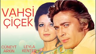 Vahşi Çiçek Türk Filmi  FULL  Cüneyt Arkın  Leyla Kenter [upl. by Kenney]