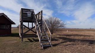 4K UHD Nationalpark Neusiedler See – Seewinkel Lange Lacke amp Wörthenlacken Bewahrungszone Apetlon [upl. by Llenyar]