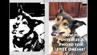 How to Posterize a Photo Online for Free without Photoshop [upl. by Sitra]