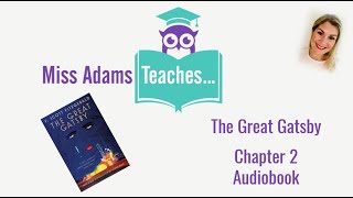 The Great Gatsby  Chapter 2 Audiobook [upl. by Solegnave]