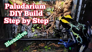 How To Build A Paludarium DIY In Depth Tutorial paludarium bioactive [upl. by Vivienne263]