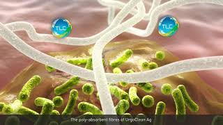 UrgoClean Ag Antimicrobial and Antibiofilm action [upl. by Ehling]