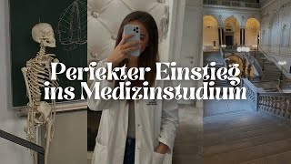 Der perfekte EINSTIEG ins MEDIZINSTUDIUM Teil 2  Medittogether [upl. by Enylrac]