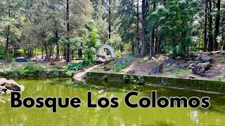 Bosque Los Colomos [upl. by Rodnas355]