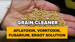 Aflatoxin vomitoxin Fusarium ERGOT solution Modern farming equipment httpsgraincleanercom [upl. by Christianna765]