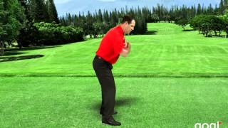 Golf Posture amp Shoulder Turn Drill [upl. by Hermes102]