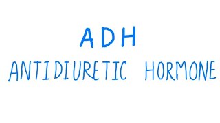 Antidiuretic Hormone  ADH Hindi  Its physiology and how it works ADH antidiuretichormone hindi [upl. by Enelrad]