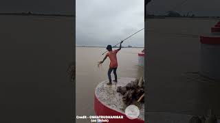 Catching Floating Logs with Spears  facts skill survival fishing amazing interestingfacts [upl. by Mirilla854]