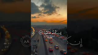 قرآن كريم ٢٢ ثانيه [upl. by Lankton]