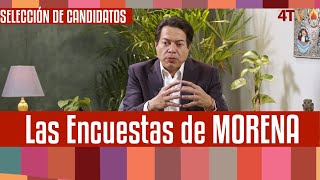 ¿Cómo se seleccionan las y los candidatos en Morena con Pedro Miguel Mario Delgado [upl. by Lillie]