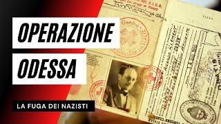 OPERAZIONE ODESSA  La fuga dei nazisti [upl. by Hootman]