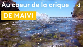 La crique de Maivi  un lieu sauvage et insolite à Arue [upl. by Dallis]