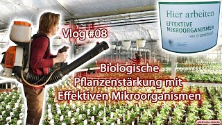 Vlog 08  Biologische Pflanzenstärkung mit Effektiven Mikroorganismen [upl. by Charita654]