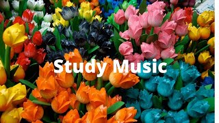 Best Music to Listen  Study and Relax  Renewable Energy [upl. by Bertle357]